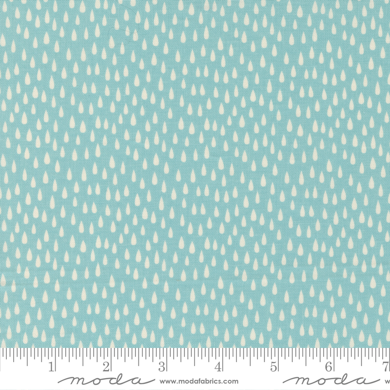 Noah's Ark The Storm Sky | Stacy Iest Hsu | Moda Fabrics | 20875 17 | Sold in 1/2 Yd