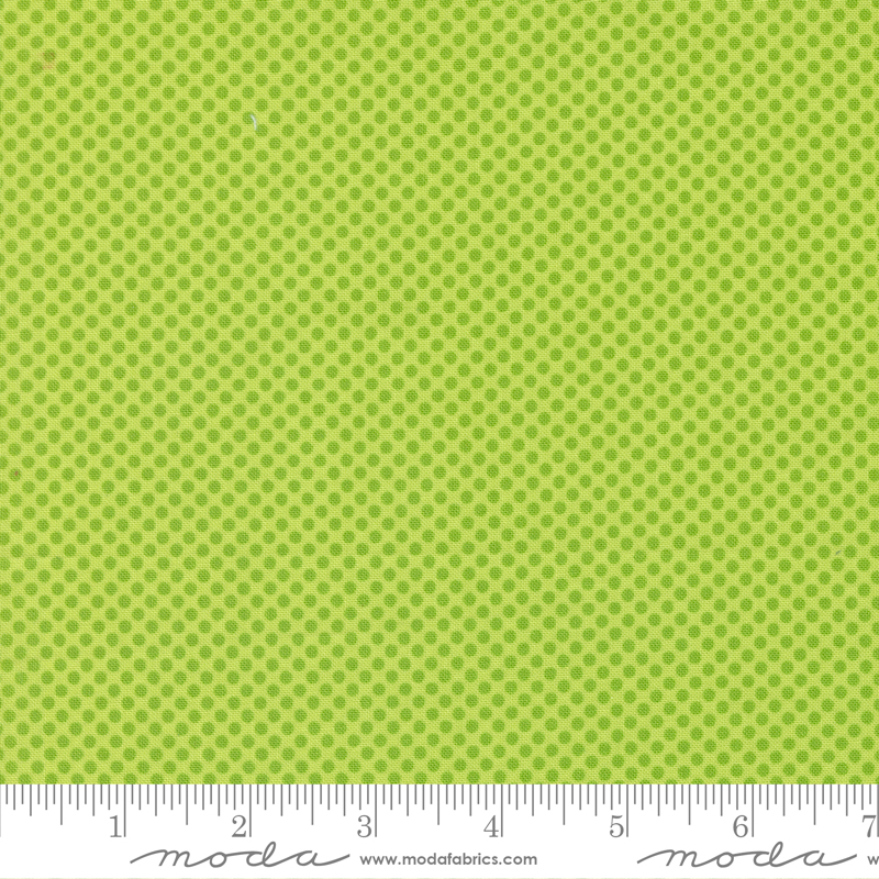 On The Bright Side Dot To Dot Kiwi | Me and My Sister Designs | 22466 18 | Sold in 1/2 Yds
