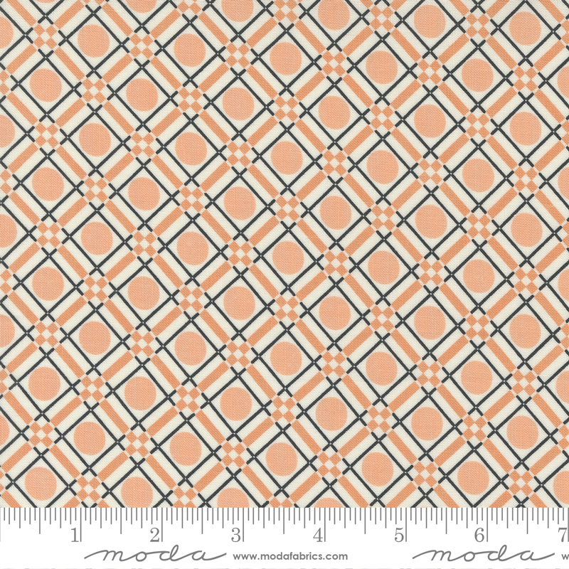Owl-O-Ween Plaid Ghost | Urban Chiks | Moda Fabrics | 31193 11 | Sold in 1/2 Yd