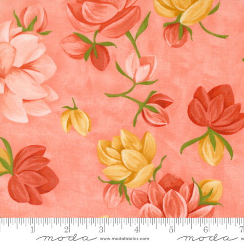 Kindred Petaluma Coral | 1 Canoe 2 | Moda Fabrics | 36070 19 | Sold in 1/2 Yd