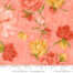 Kindred Petaluma Coral | 1 Canoe 2 | Moda Fabrics | 36070 19 | Sold in 1/2 Yd