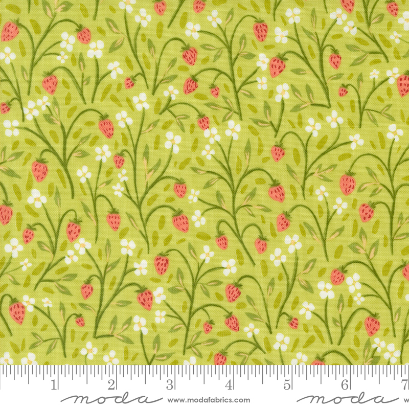 Kindred Strawberry Meadow Meadow | 1 Canoe 2 | Moda Fabrics | 36071 15 | Sold in 1/2 Yd