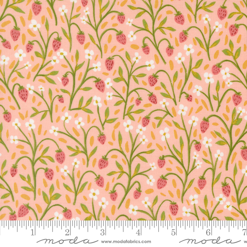 Kindred Strawberry Meadow Blush | 1 Canoe 2 | Moda Fabrics | 36071 20 | Sold in 1/2 Yd