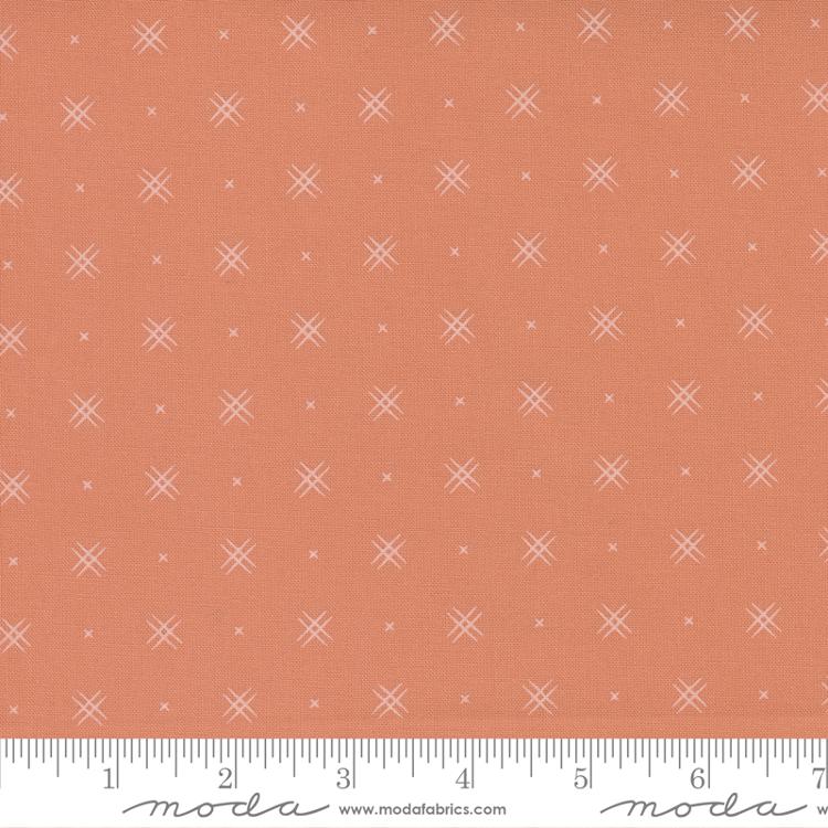 Beyond Bella Coral | Bound Co. | Moda Fabrics | 16740 147 | Sold in 1/2 Yds