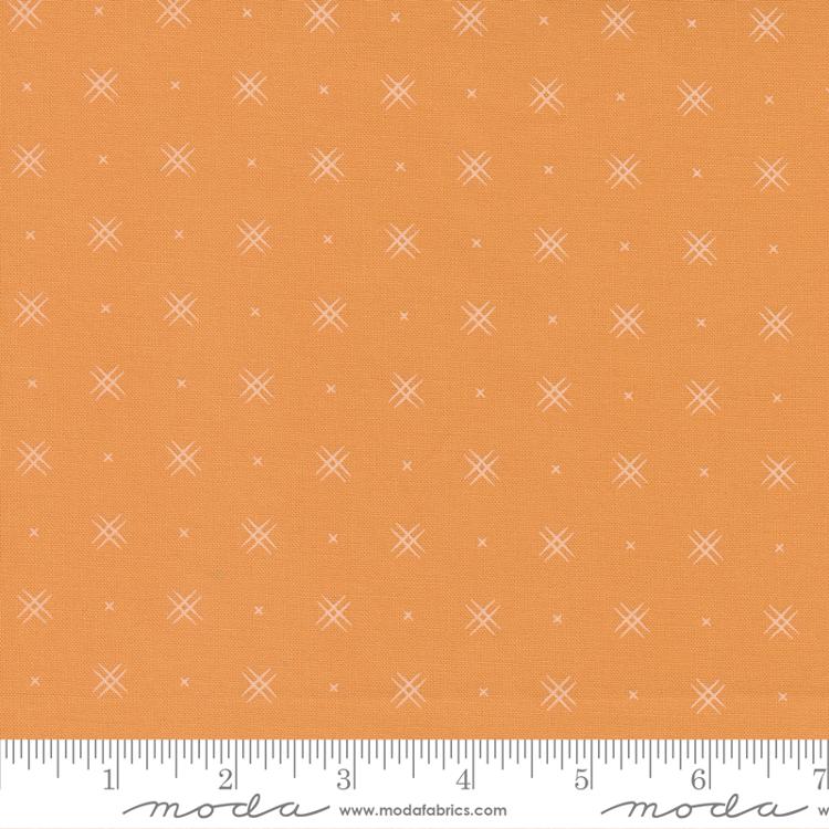 Beyond Bella Amelia Apricot | Bound Co. | Moda Fabrics | 16740 162 | Sold in 1/2 Yds