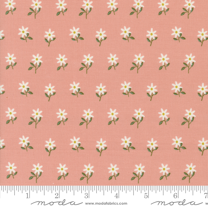 Imaginary Flowers Wispy Flowers Blossom | Gingiber | Moda Fabrics | 48384 18 | Sold in 1/2 Yd