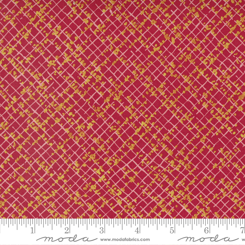 Wild Blossoms Blotted Graph Paper Poppy | Robin Pickens | Moda Fabrics | 48737 19 | Sold in 1/2 Yd