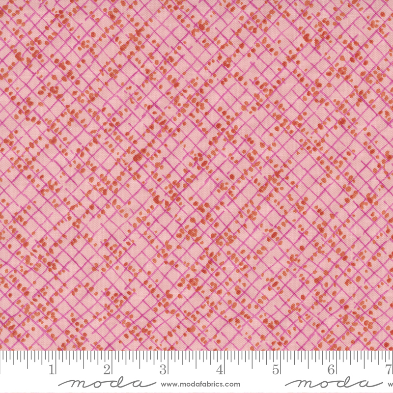 Wild Blossoms Blotted Graph Paper Princess | Robin Pickens | Moda Fabrics | 48737 21 | Sold in 1/2 Yd