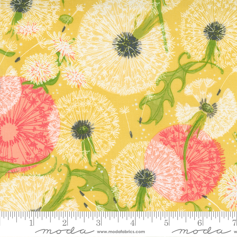 Dandi Duo Dandelion Field Maize | Robin Pickens | Moda Fabrics | 48750 12 | Sold in 1/2 Yd