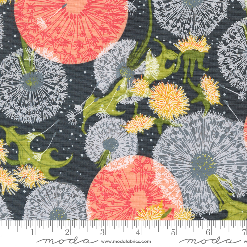 Dandi Duo Dandelion Field Graphite | Robin Pickens | Moda Fabrics | 48750 18 | Sold in 1/2 Yd