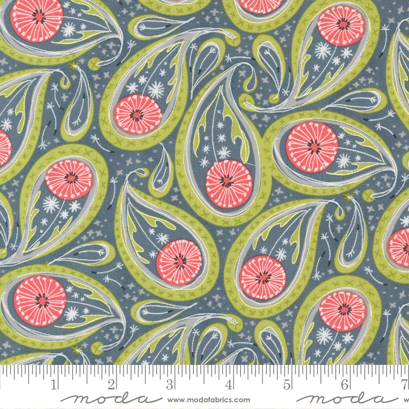 Dandi Duo Paisley Graphite | Robin Pickens | Moda Fabrics | 48753 17 | Sold in 1/2 Yd