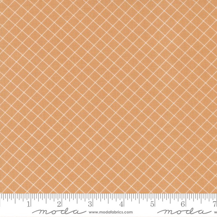 Sunnyside Graph Apricot | Camille Roskelley | Moda Fabrics | 55283 18 | Sold in 1/2 Yd