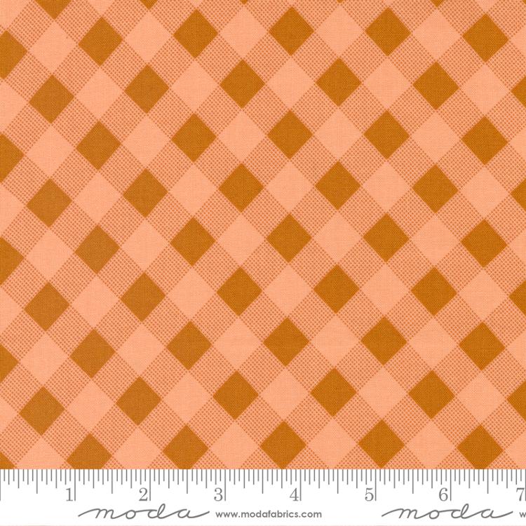 Meander Picnic Check Peach | Aneela Hoey | Moda Fabrics | 24584 12 | Sold in 1/2 Yds