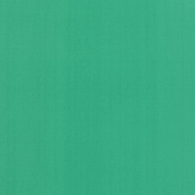 SPEARMINT Bella Solids | Moda Fabrics | 9900 304 | Sold in 1/2 Yds